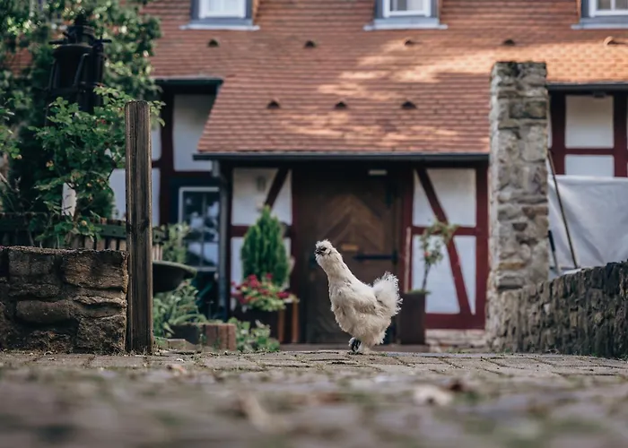 Jordan's Untermuehle 4* Kongernheim